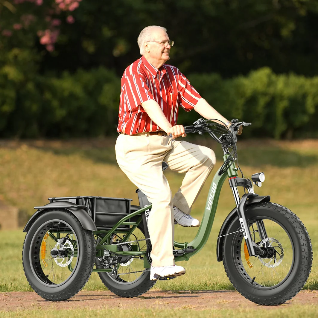 ET1 Electric Tricycle 750w Power