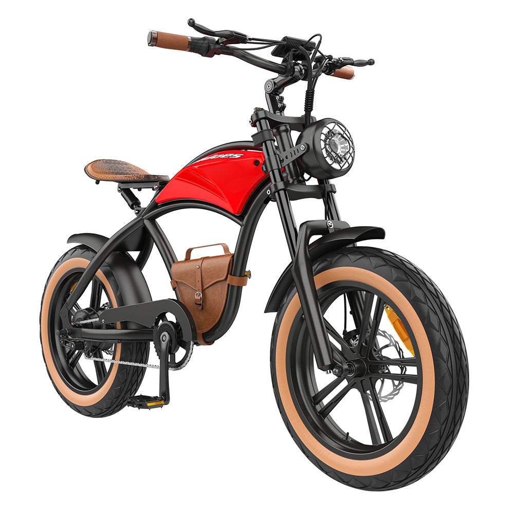 Elektrofahrrad B10 