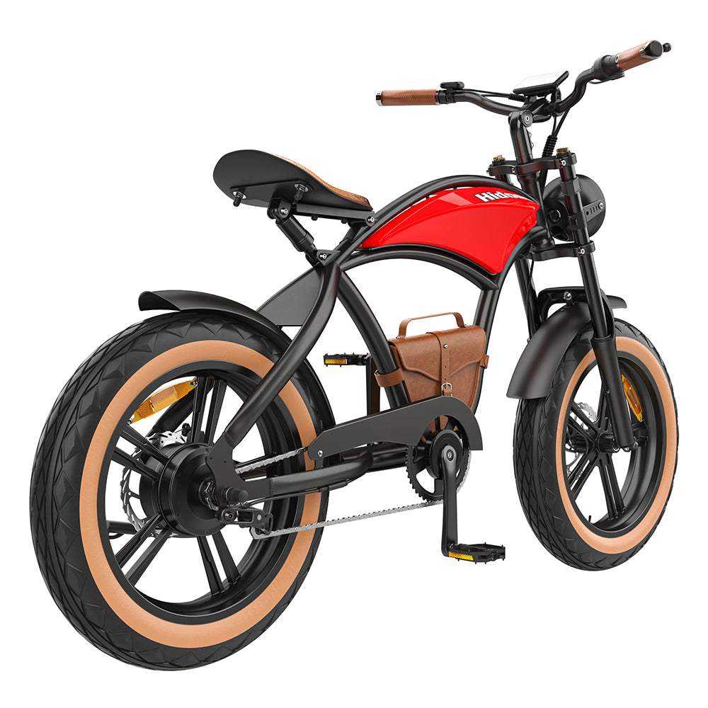 Elektrofahrrad B10 