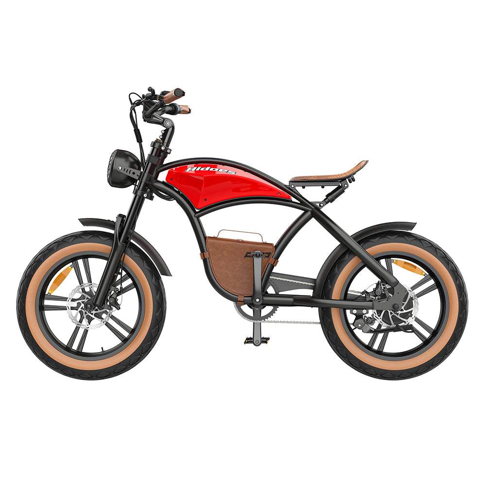 Elektrofahrrad B10 